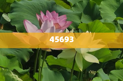 全新升級(jí)，7777888888精準(zhǔn)新管家，全新升級(jí)管家，精準(zhǔn)管理，一站式服務(wù) 7777888888新管家重磅來襲