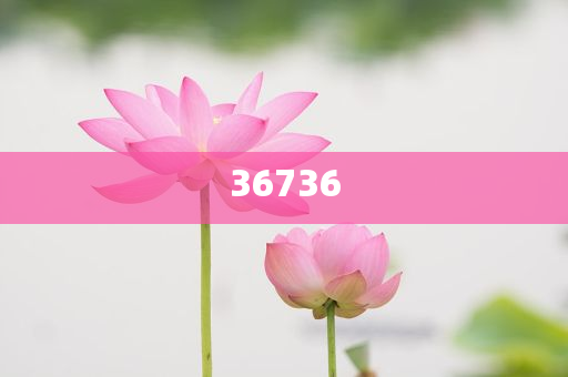 揭秘精準(zhǔn)新傳秘籍，7777788888免費(fèi)策略與SEO優(yōu)化，揭秘精準(zhǔn)新傳秘籍，免費(fèi)策略與SEO優(yōu)化指南