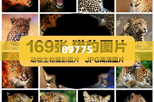 關于新奧歷史開獎記錄的最新信息，今天公布了嗎？，新奧歷史開獎記錄最新信息公布了嗎？