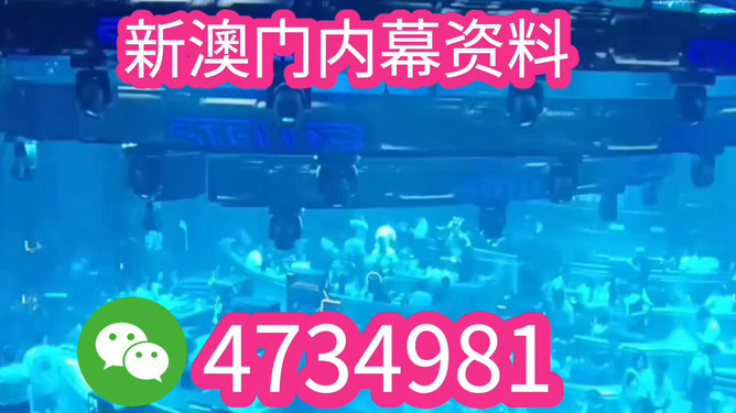 新澳門2025，探索與未來的展望，新澳門2025，探索未來，展望發(fā)展