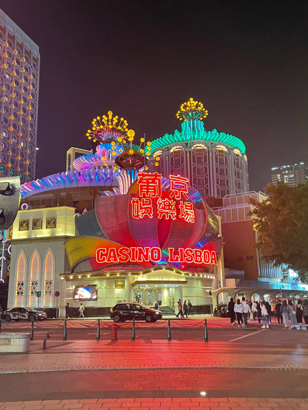 澳門今晚必開一肖一特芳草地，探索生肖與運勢的神秘面紗，澳門生肖運勢揭秘，探索今晚必開一肖一特芳草地神秘面紗的運勢之旅
