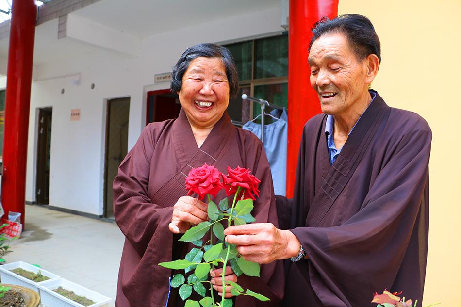 揭秘最準(zhǔn)一碼一肖，揭秘背后的秘密與真相，鳳凰網(wǎng)獨(dú)家報(bào)道，獨(dú)家揭秘，最準(zhǔn)一碼一肖背后的秘密真相（鳳凰網(wǎng)報(bào)道）
