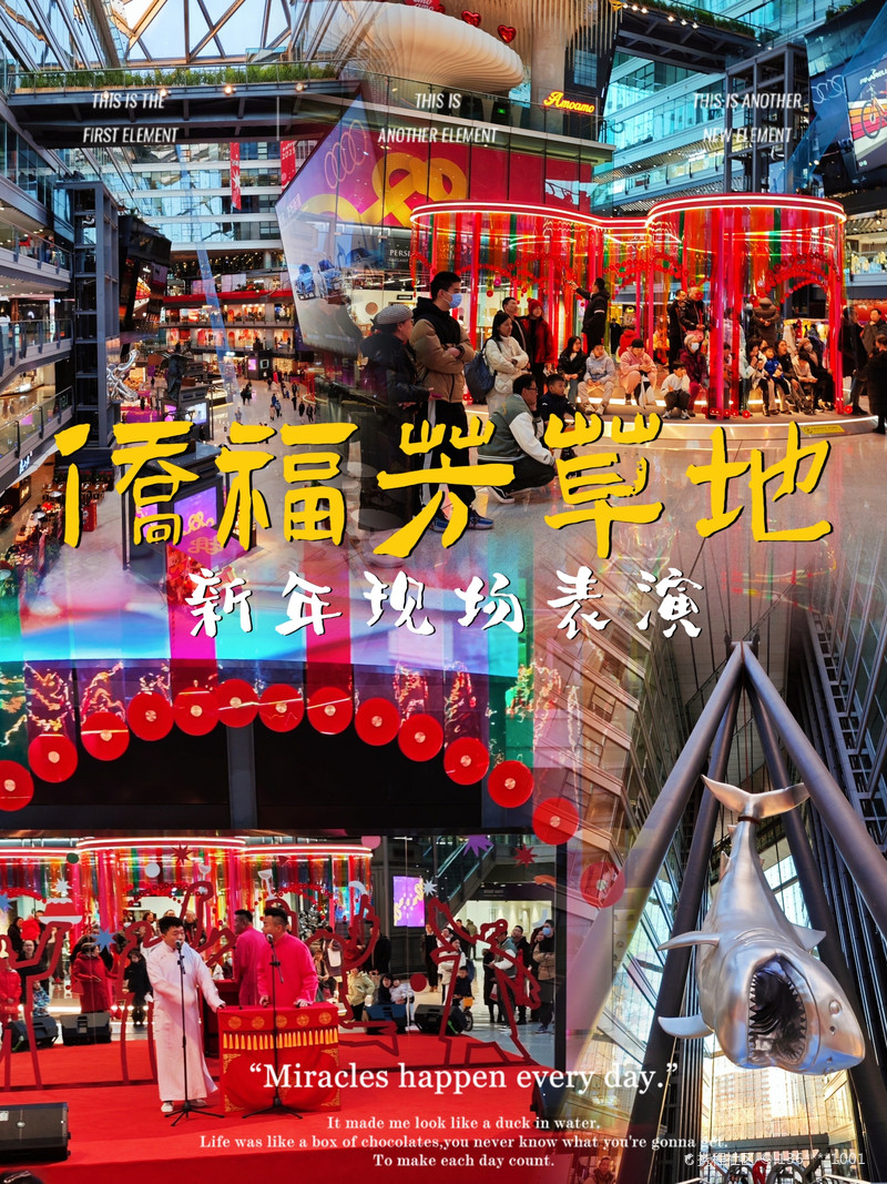 最新揭秘，2024新澳芳草地全方位資料詳解，揭秘2024新澳芳草地全方位資料，最新詳解