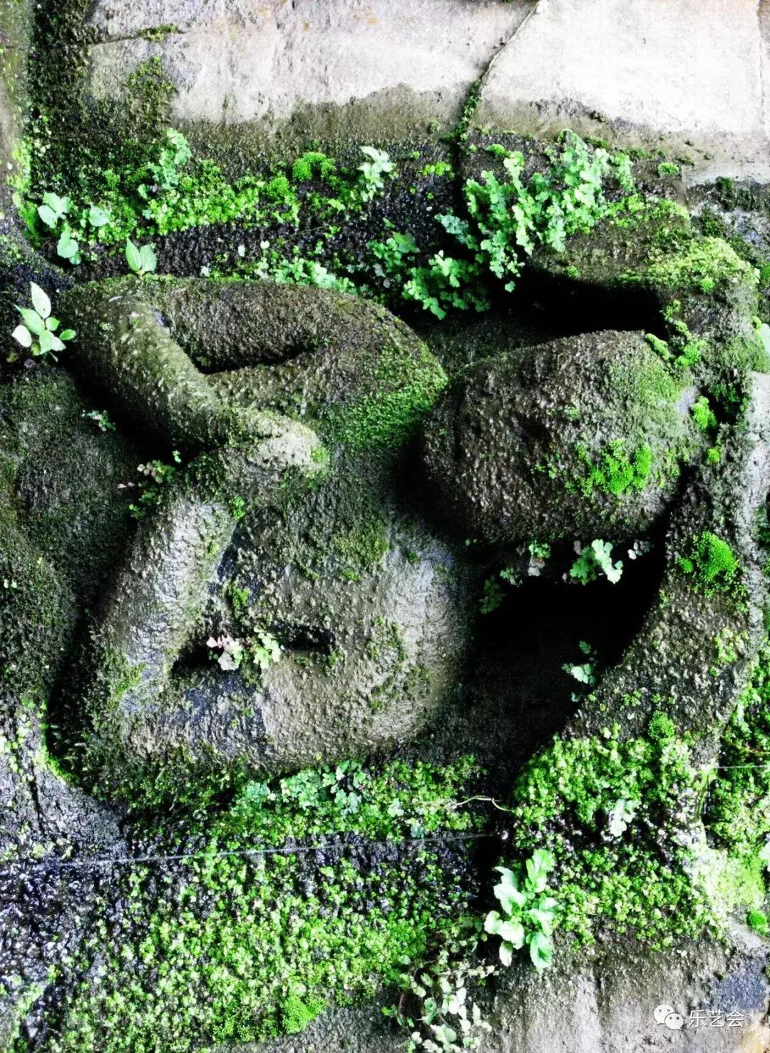 澳門九龍圖庫預(yù)測
