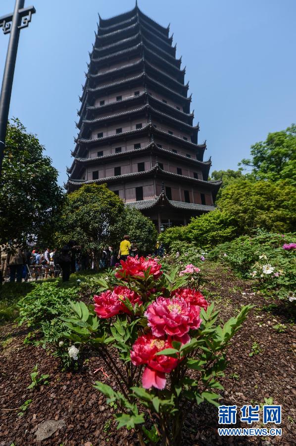 六和彩開碼資料網(wǎng)——探索彩票世界的門戶，六和彩開碼資料網(wǎng)，彩票世界探索之門