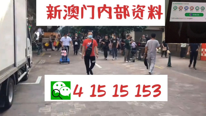 澳門管家婆100中，探索其神秘面紗與獨特魅力，澳門管家婆的神秘面紗與獨特魅力探索