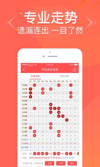 王中王六肖中特免費公開，深度解析與SEO優(yōu)化策略，王中王六肖中特解析與SEO優(yōu)化策略免費公開