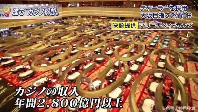 新澳門彩生肖走勢圖，深度解析與預(yù)測，澳門彩生肖走勢圖深度解析及預(yù)測報告