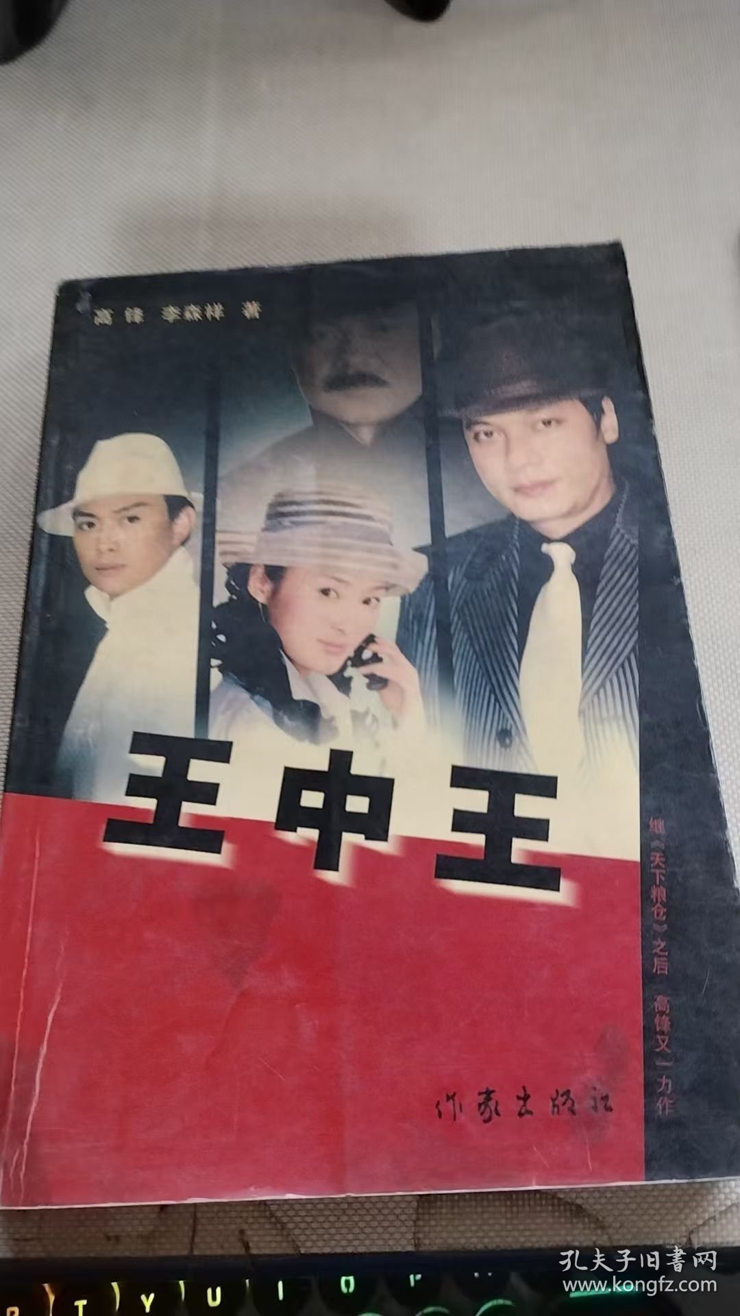 王中王資料一肖中結(jié)，深度解析與SEO優(yōu)化策略，王中王資料一肖中結(jié)深度解析與SEO優(yōu)化策略指南