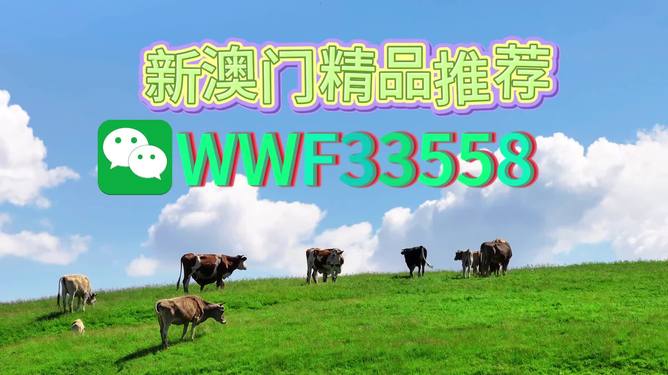 新澳今晚9點(diǎn)30分準(zhǔn)確生肖預(yù)測——揭秘生肖運(yùn)勢(shì)，把握未來走向，新澳今晚9點(diǎn)30分生肖運(yùn)勢(shì)大揭秘，預(yù)測未來走向，把握好運(yùn)勢(shì)！