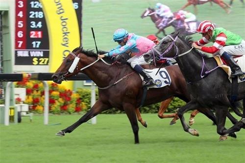 探索香港馬會官網(wǎng)，7777788888的門戶，探索香港馬會官網(wǎng)，門戶7777788888