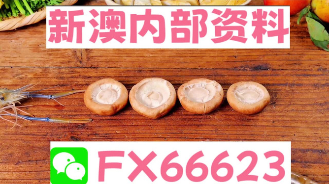 新澳正版資料免費(fèi)提供，全面解析與獲取指南，新澳正版資料全面解析與獲取指南，免費(fèi)提供的指南