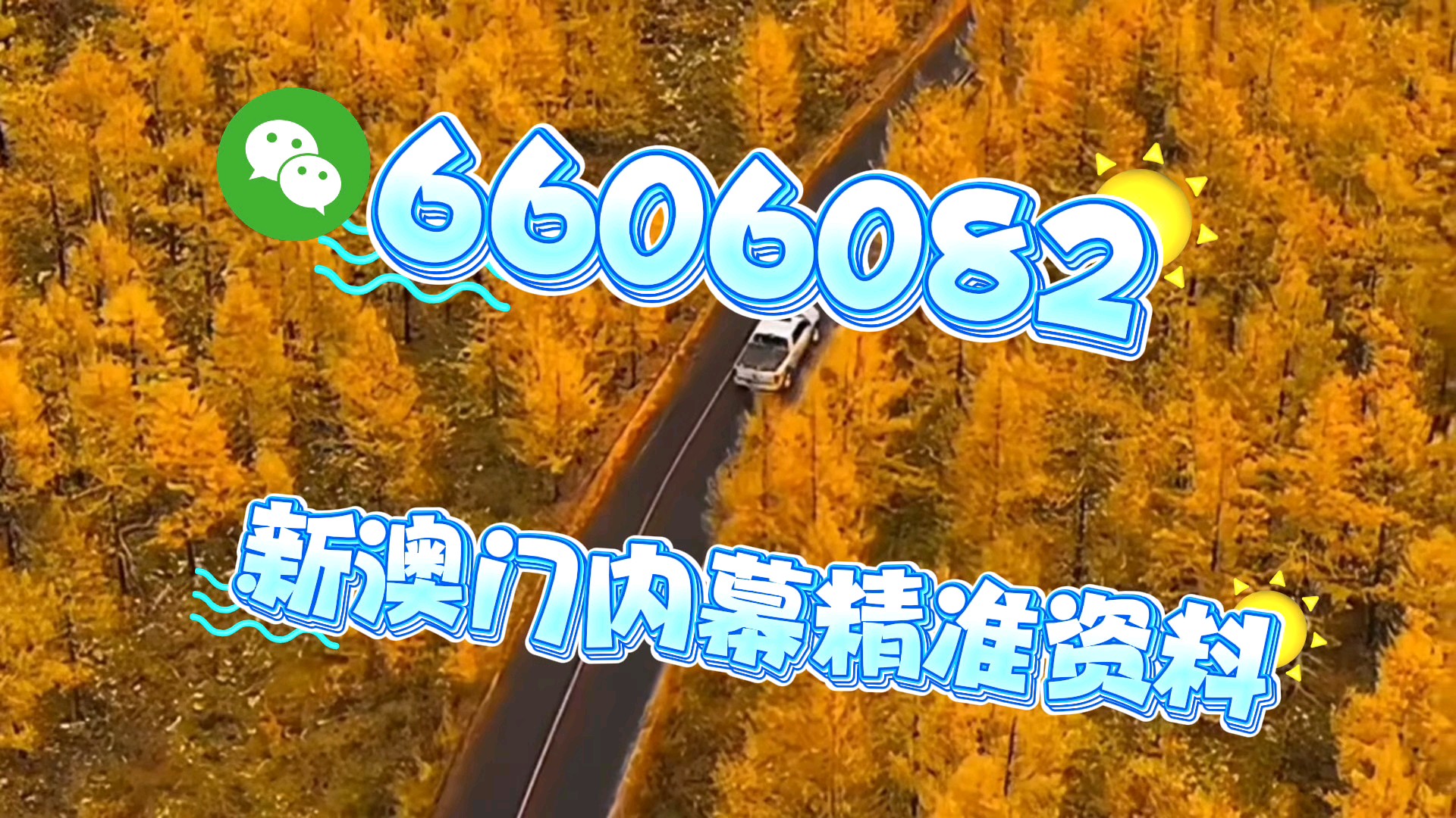 新澳門一肖一碼中恃馬，探索與解析，澳門一肖一碼中恃馬，探索與解析