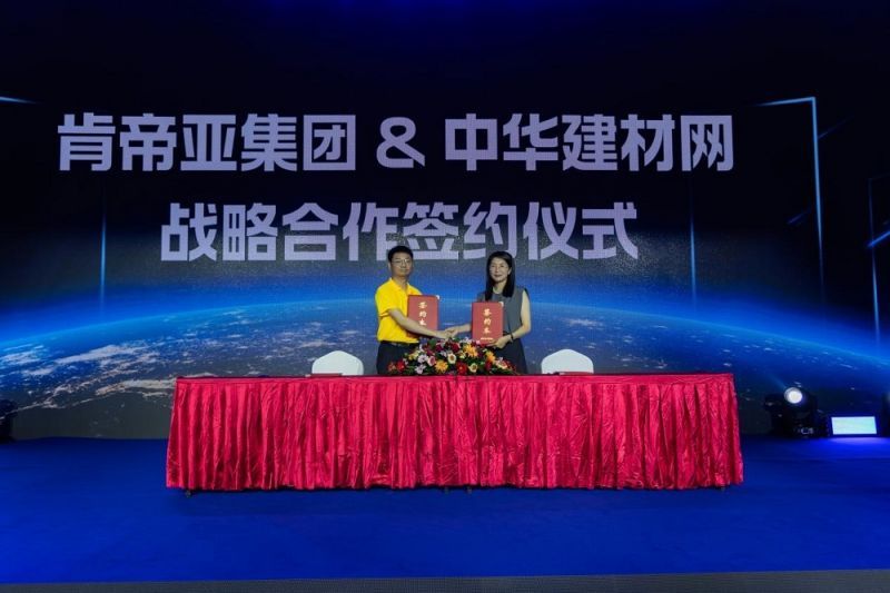 中國戰(zhàn)略網官網SEO文章，中國戰(zhàn)略網官網SEO策略與技巧詳解