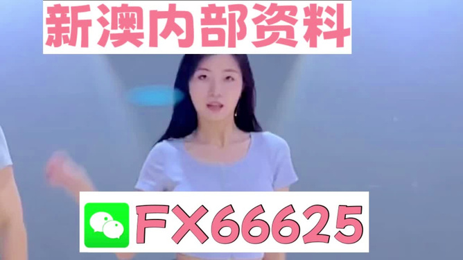 新澳門精準(zhǔn)資料大全——管家婆料解析與探索，澳門精準(zhǔn)資料大全，管家婆料解析與深度探索