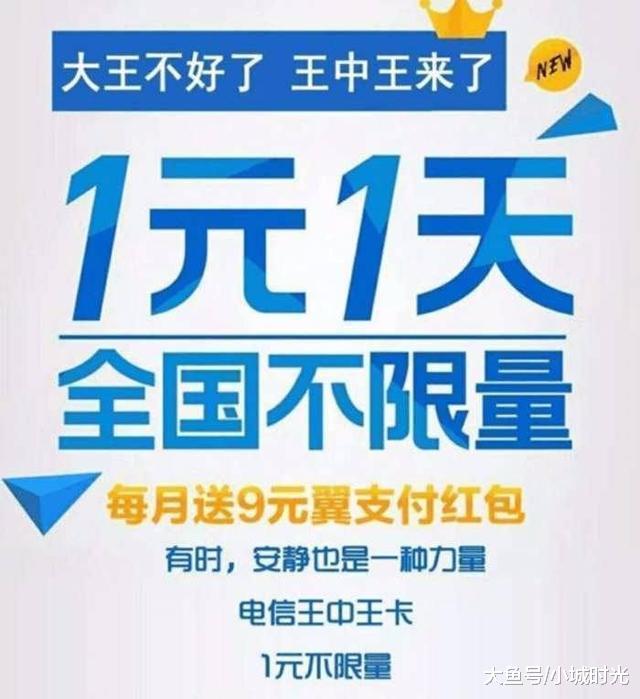 王中王新四不像一肖，揭秘背后的神秘面紗與SEO策略洞察，揭秘王中王新四不像一肖背后的神秘面紗與SEO策略洞察